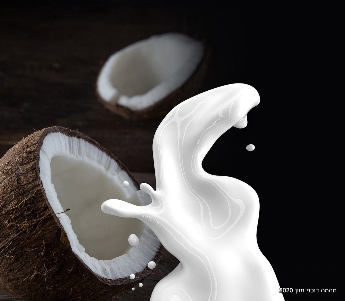 1 Coconut Milk 1623611 1280.jpg